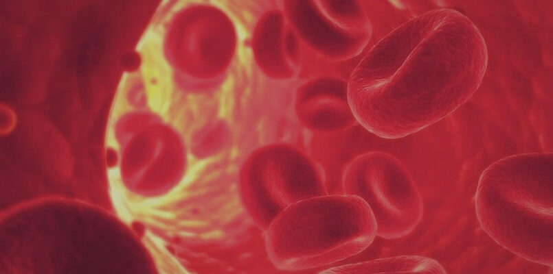 78 Interesting Facts About Human Blood