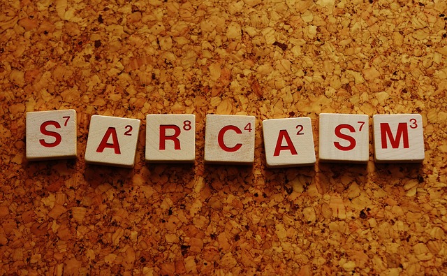 30 Subtle Words of Sarcasm to Flirt
