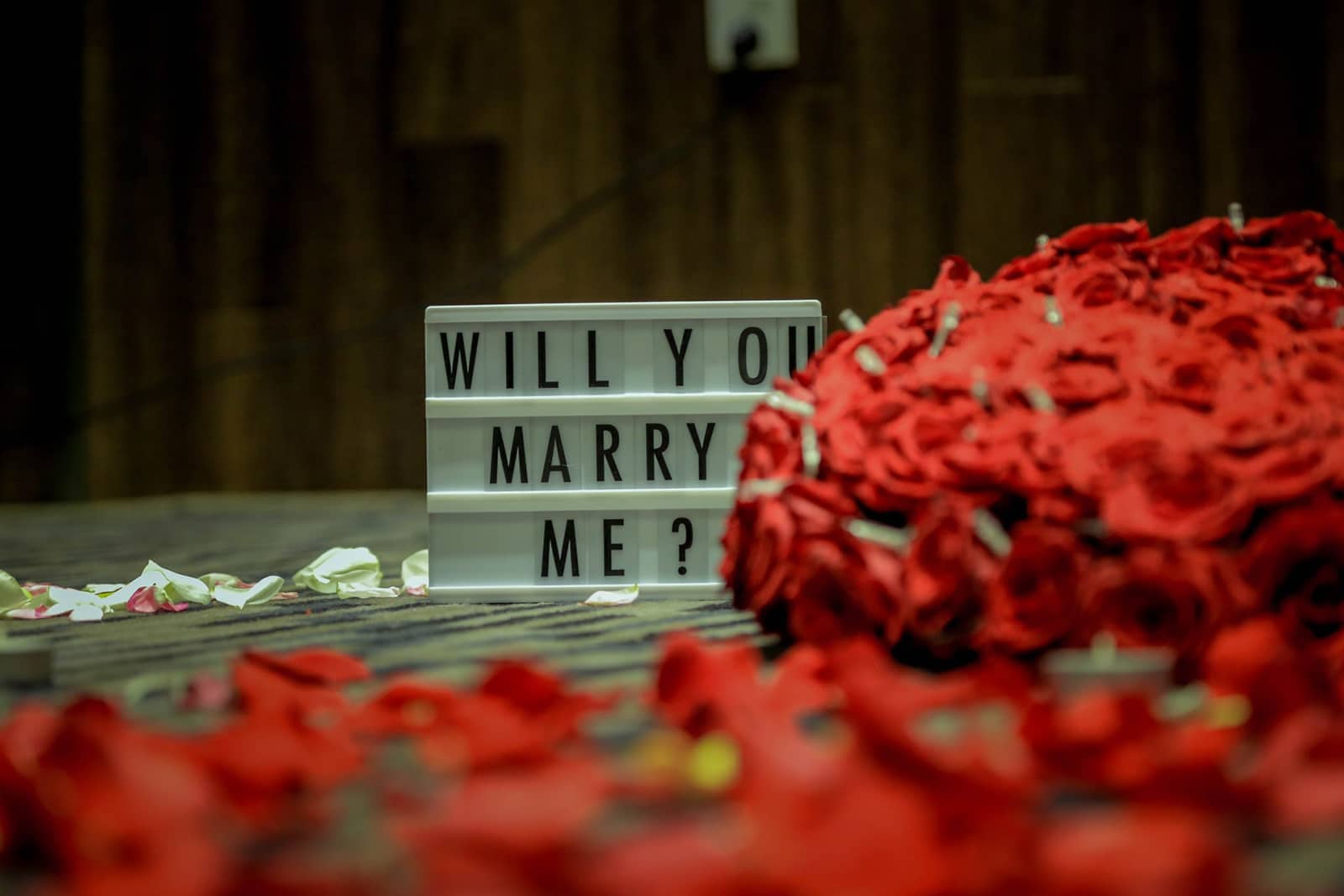 Should I say "please marry me", "would you marry me" or "will you be my wife" when proposing?