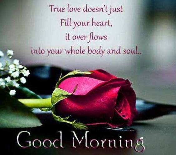 Sweet, Cute, Romantic Good Morning Love Messages For Lover